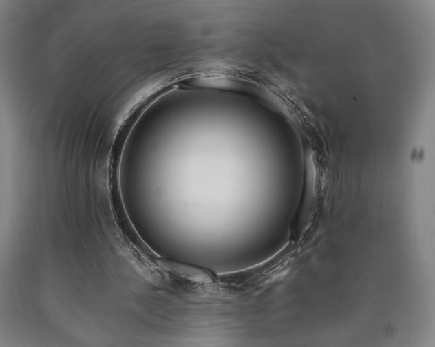 X0000090900244200707301419