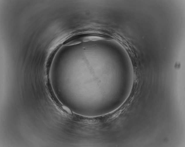 X0000090900245200707301419