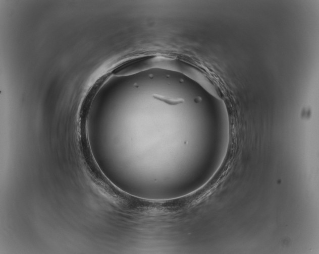 X0000090900246200707301419