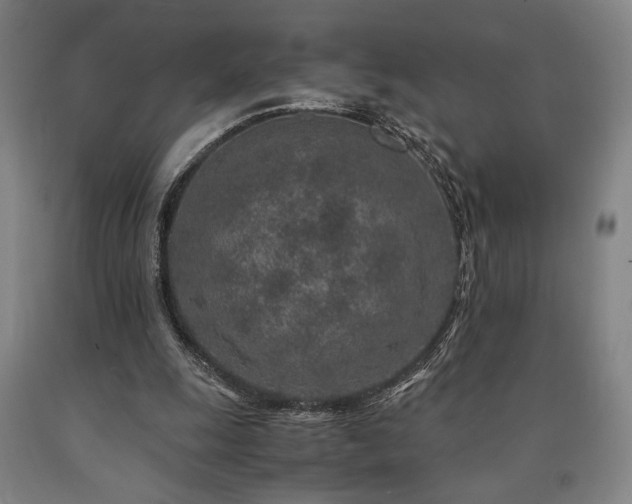 X0000090900247200707301419
