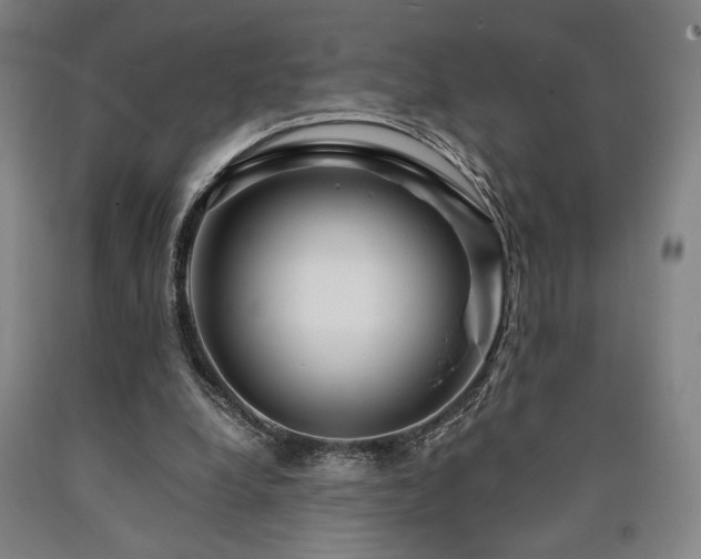 X0000090900248200707301419