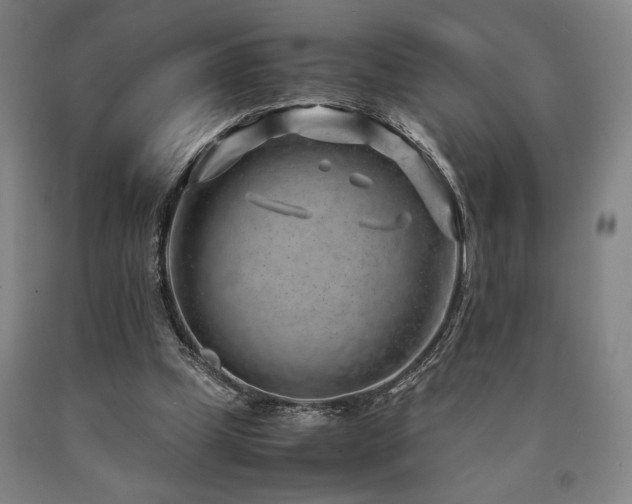 X0000090900249200707301419
