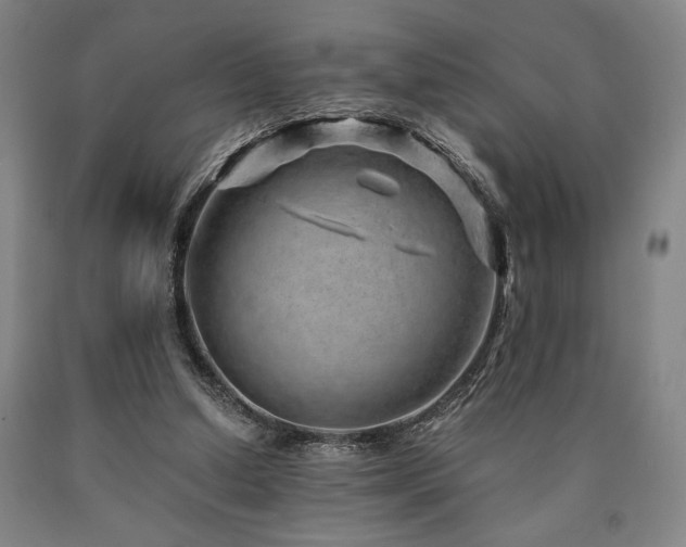 X0000090900250200707301419