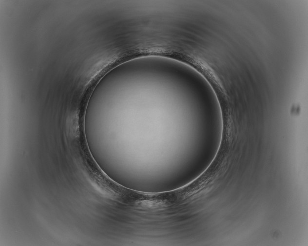 X0000090900251200707301419