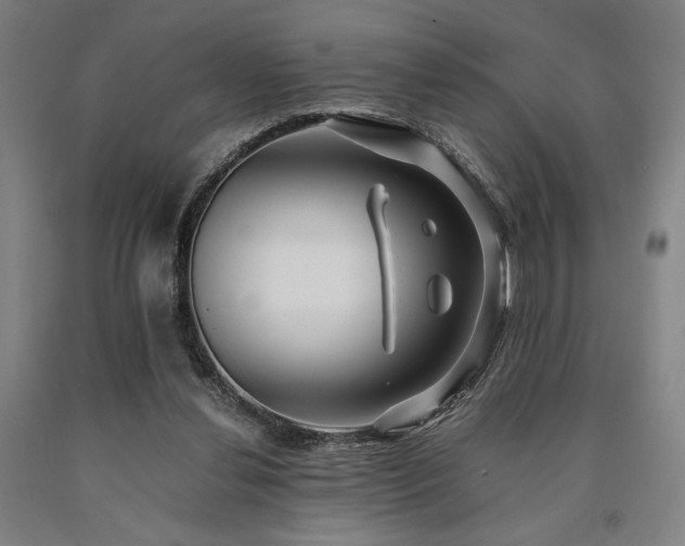 X0000090900252200707301419