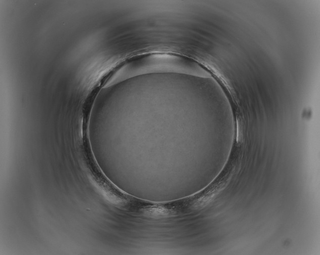 X0000090900253200707301419