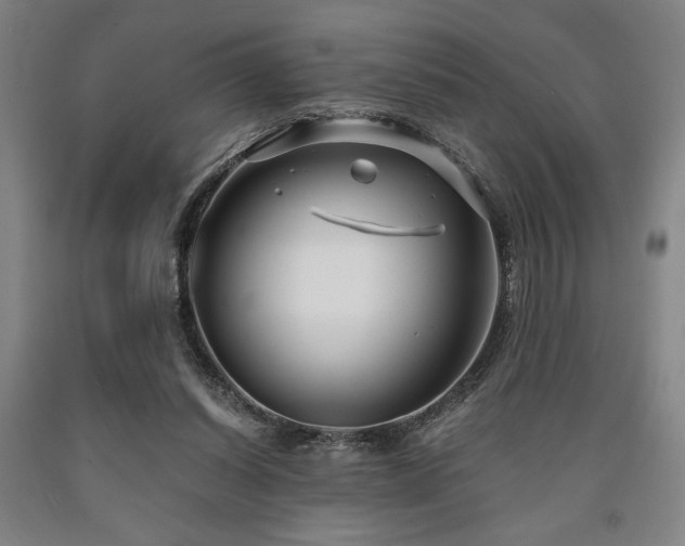 X0000090900254200707301419