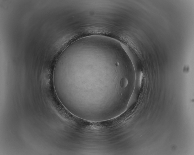 X0000090900255200707301419