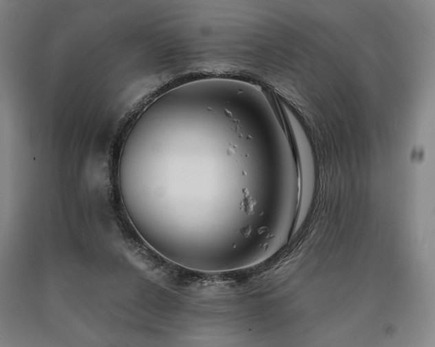 X0000090900256200707301419