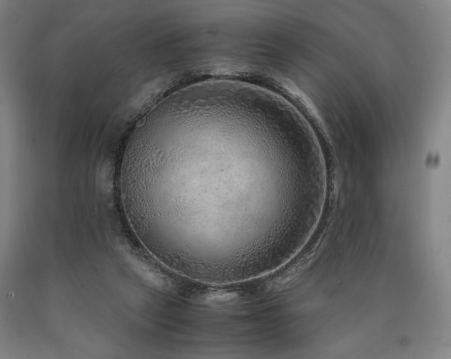 X0000090900257200707301419