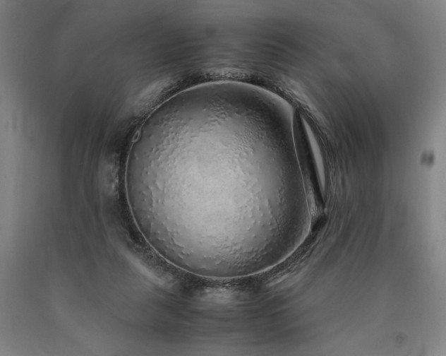 X0000090900259200707301419