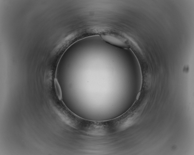 X0000090900260200707301419
