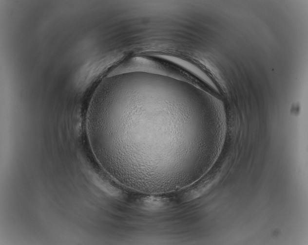 X0000090900261200707301419