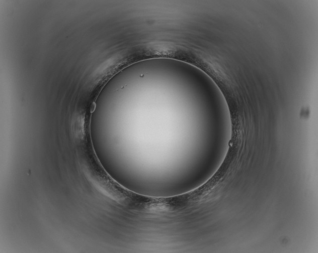 X0000090900262200707301419