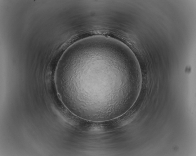 X0000090900263200707301419