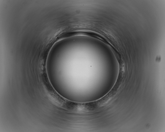 X0000090900264200707301419