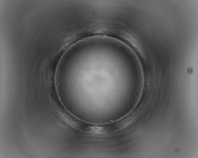 X0000090900265200707301419