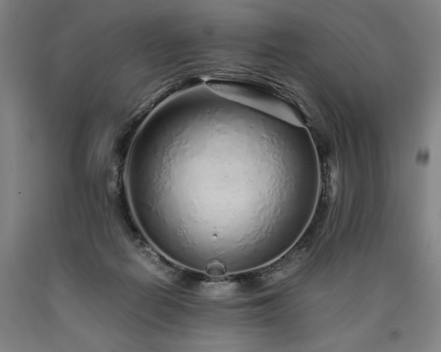 X0000090900266200707301419