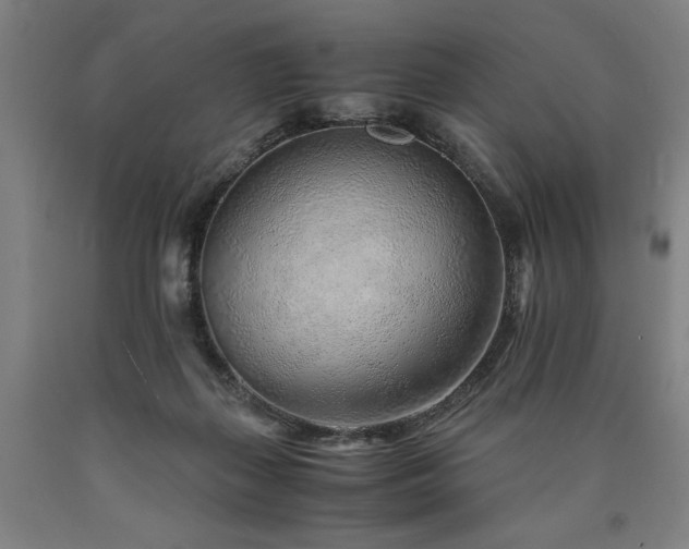 X0000090900267200707301419