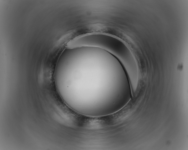 X0000090900268200707301419