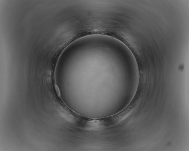 X0000090900269200707301419