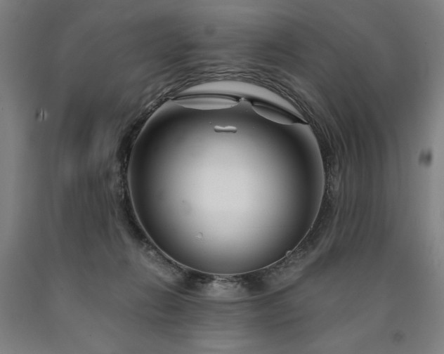 X0000090900270200707301419