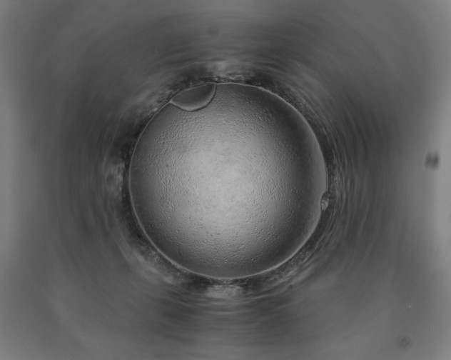 X0000090900271200707301419