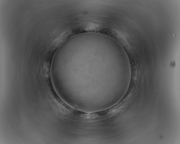X0000090900273200707301419