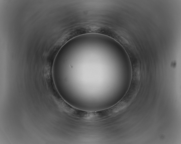 X0000090900274200707301419
