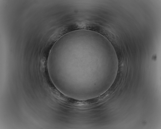X0000090900275200707301419