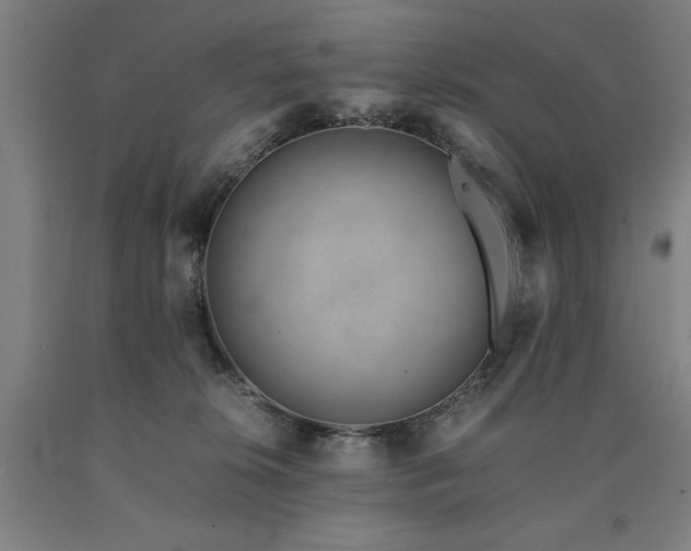 X0000090900276200707301419