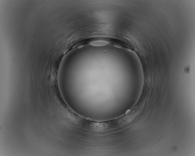 X0000090900277200707301419