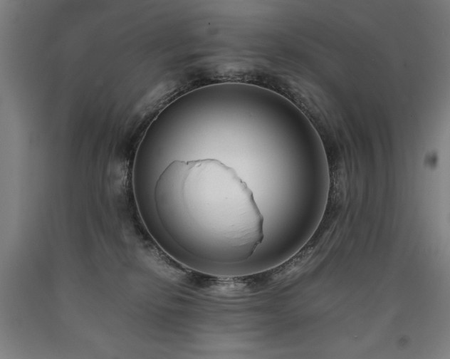 X0000090900278200707301419