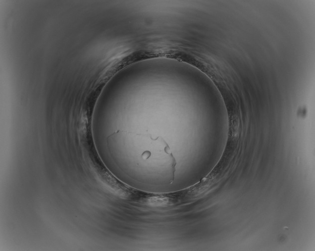 X0000090900279200707301419