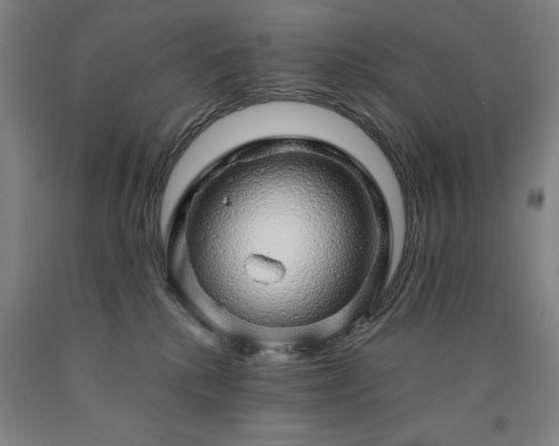 X0000090900280200707301419