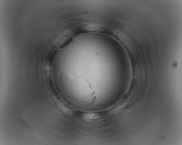X0000090900281200707301419