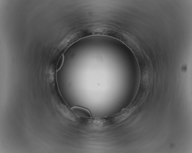 X0000090900282200707301419
