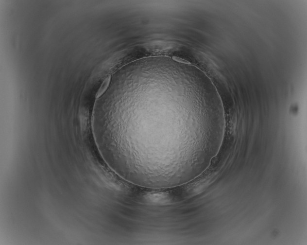 X0000090900283200707301419