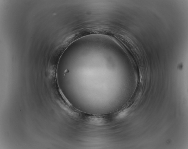 X0000090900284200707301419
