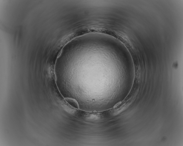 X0000090900285200707301419