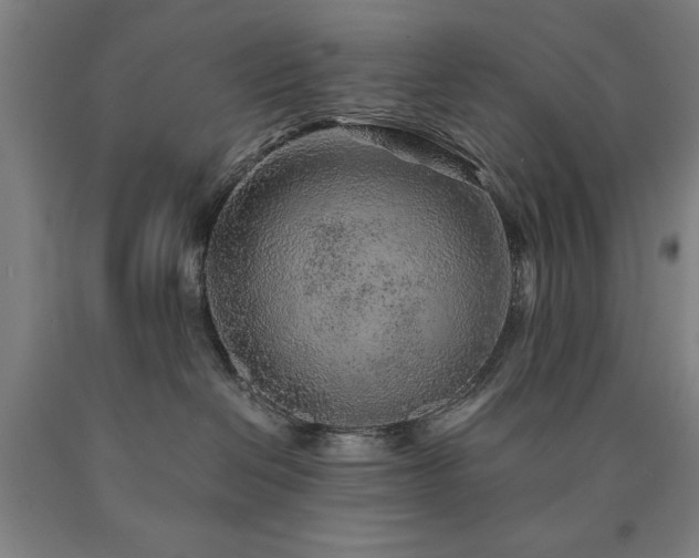 X0000090900286200707301419