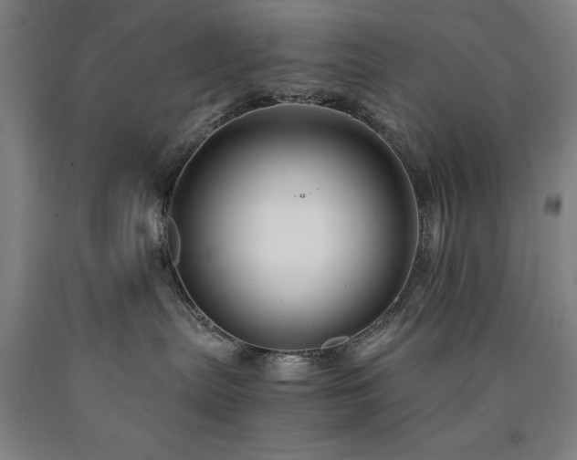 X0000090900287200707301419