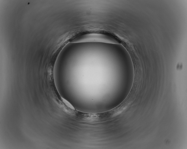 X0000090900288200707301419
