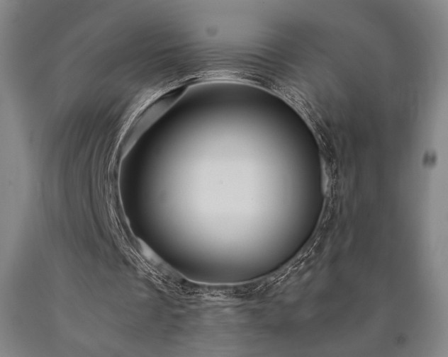 X0000090900289200707301419
