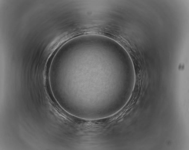 X0000090900290200707301419