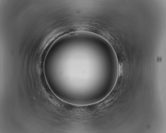 X0000090900291200707301419