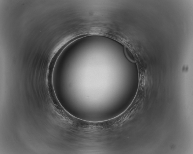 X0000090900292200707301419