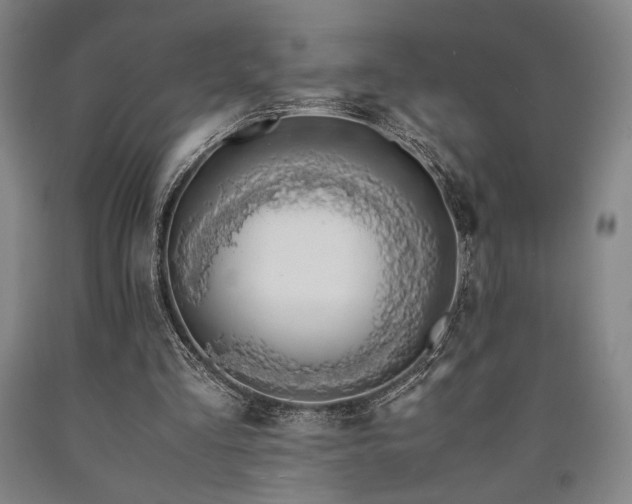 X0000090900293200707301419