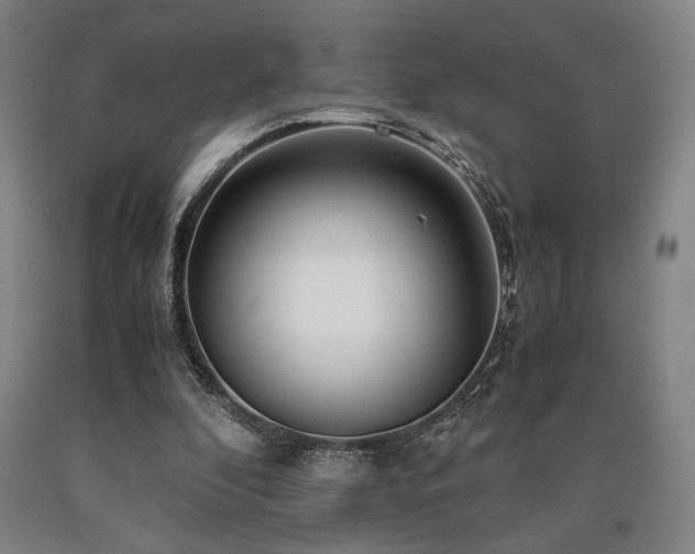 X0000090900296200707301419