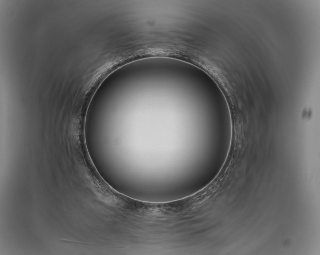 X0000090900297200707301419